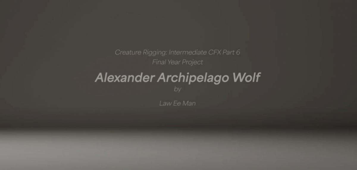 Alexander Archipelago Wolf.jpg