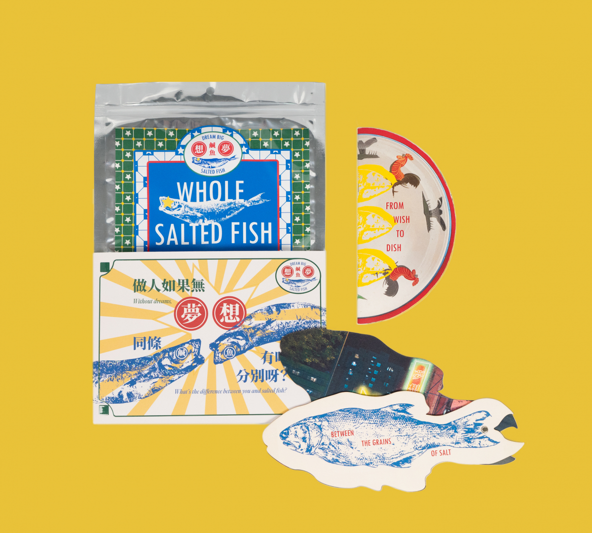 DreamBigSaltedFish3.jpg